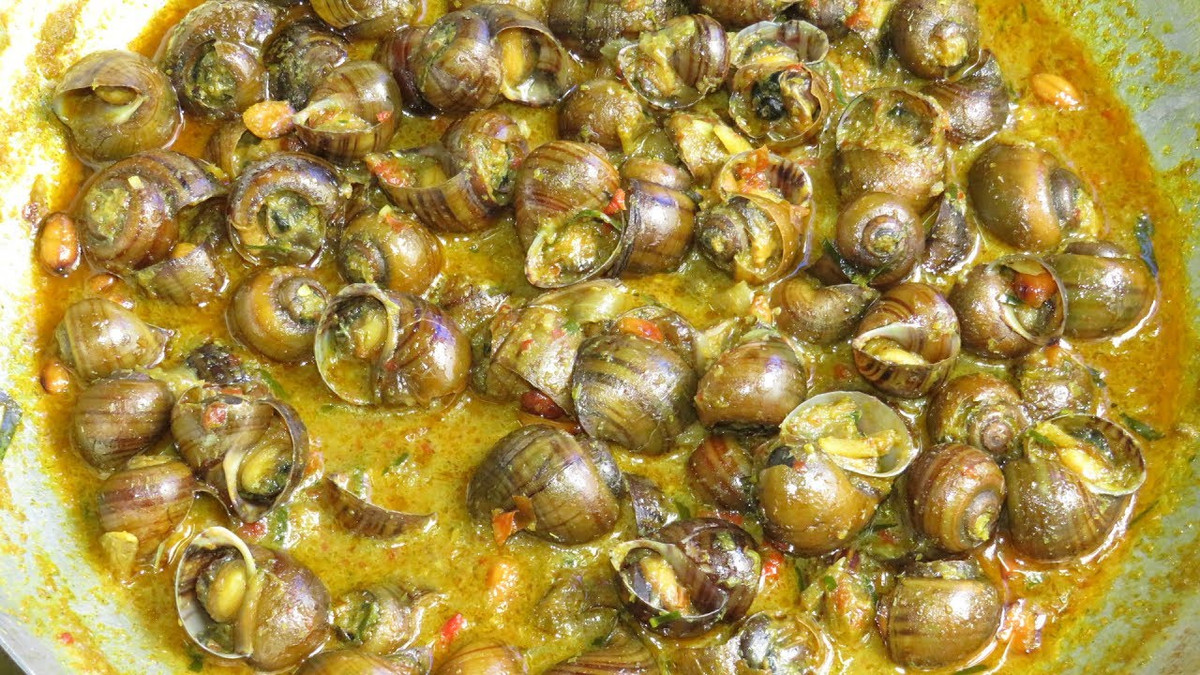 Theo tìm hiểu, cách làm món ốc sên hầm Ấn Độ có thể khác nhau tùy theo từng vùng miền và sở thích cá nhân.