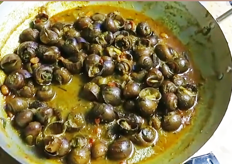 Những người nghiện món ốc sên hầm này tin rằng nó chữa được các bệnh mãn tính như viêm phế quản, hen suyễn, mệt mỏi và uể oải.