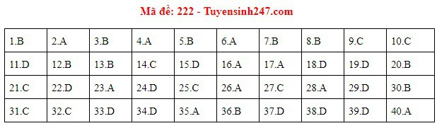 Đáp án môn Vật lý - mã đề 222.