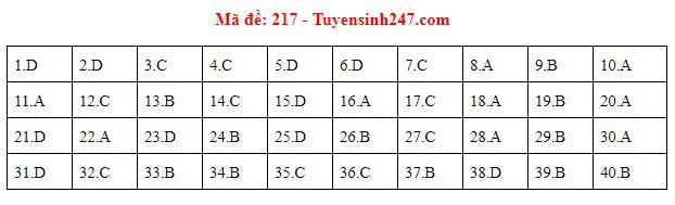 Đáp án môn Vật lý - mã đề 217.