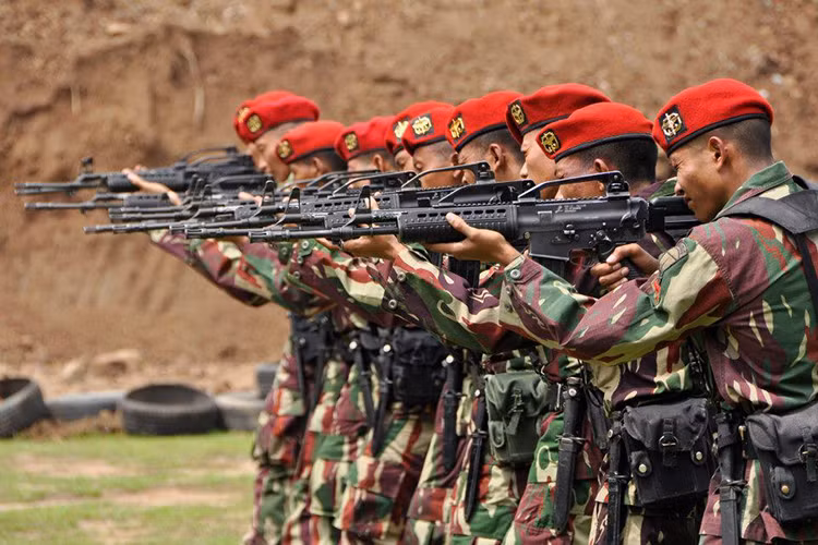 Quay lại với Pindad SS2, mẫu súng trường tấn công Indonesia này được PT Pindad phát triển nhằm thay thế cho người tiền nhiệm Pindad SS1 nhanh chóng lỗi thời chỉ sau hơn 10 năm sử dụng và được Quân đội Indonesia đưa vào trang bị hàng loạt từ năm 2006 với nhiều biến thể khác nhau. Nguồn ảnh: Pinterest.