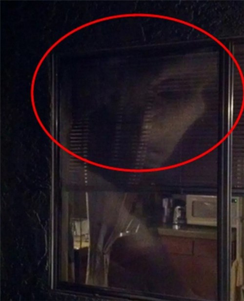 Đây là trò đùa của ai?