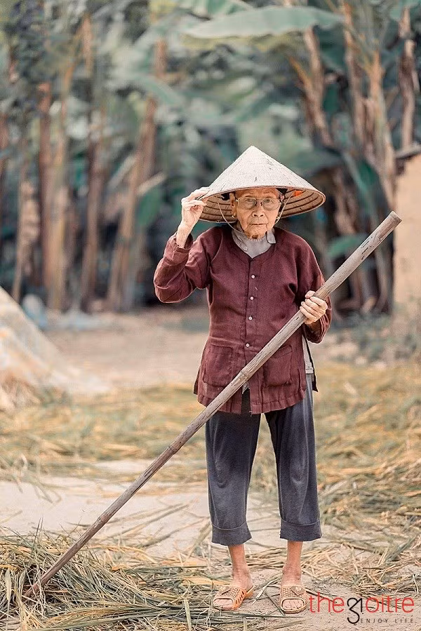 Nắng nóng gay gắt những ngày qua khiến cho cuộc sống và công việc của người nông dân đã vất vả nay lại thêm cực nhọc hơn. Và mới đây, trên mạng xã hội vừa chia sẻ những bức ảnh chụp lại những khoảnh khắc đời thường của cụ bà 97 tuổi đang phơi thóc. Hình ảnh sau khi đăng tải đã nhanh chóng lan truyền và gây xúc động cho nhiều người.