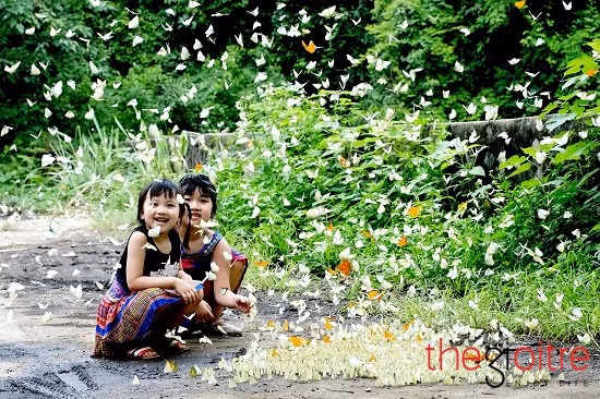 Là người yêu thích thiên nhiên nên trên mỗi hành trình đi qua, nhiếp ảnh gia Phạm Hải luôn muốn chụp lại những cảnh đẹp của Việt Nam. Bộ ảnh “Bướm” của anh cũng đã ghi lại những khoảnh khắc tuyệt đẹp của đàn bướm ven các con đường dẫn vào rừng Cúc Phương.