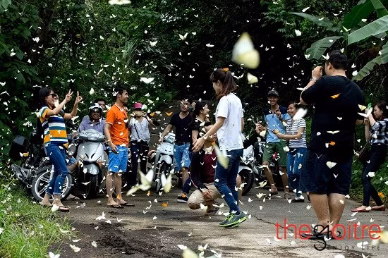 Du khách nhanh tay bấm máy để lưu lại cảnh “hoa thơm bướm lượn” tuyệt đẹp ở Cúc Phương.