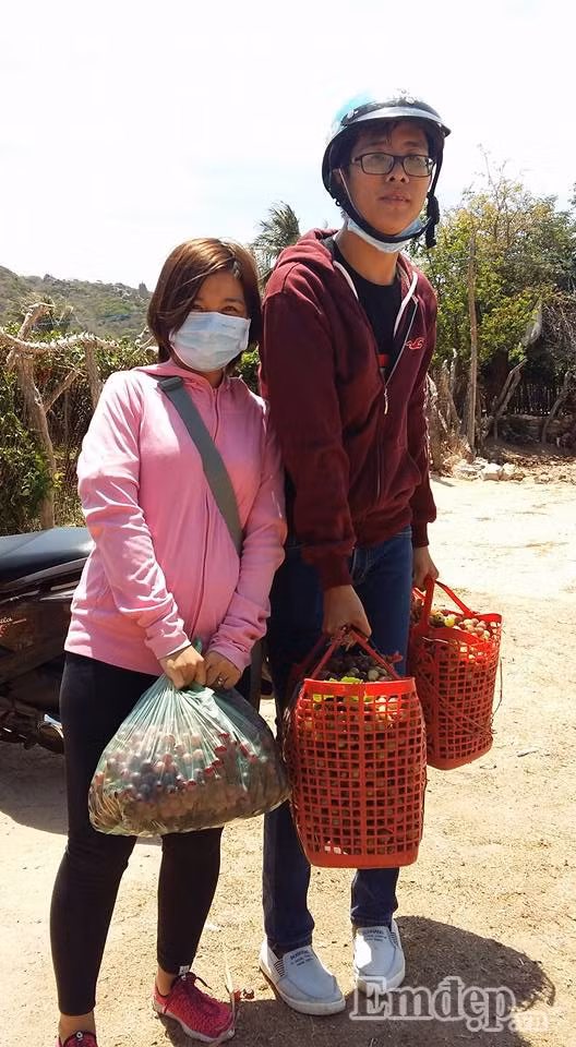 Nho Ninh Thuận có hai loại: nho đỏ và nho xanh rất được ưa chuộng dùng thể để ăn tươi, làm rượu nho, mật nho, sirô nho, mứt nho… Đến Phan Rang vào mùa nho, không ai ra về mà không quên mua nho làm quà cho người thân và bạn bè, đặc sản đong đầy nắng gió của đất và sự bình dị của con người nơi đây.