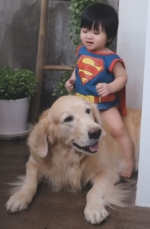 Nhân vật chính trong bộ ảnh là " em bé thiên thần" Trần Bảo Minh sinh ngày 28/8/2015.