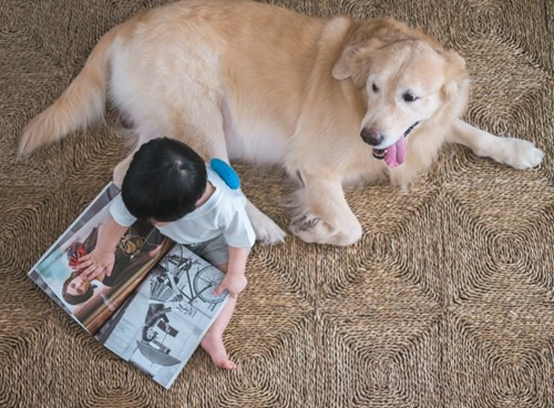 Cuộc sống có quá nhiều kỷ niệm kể không hết, người mẹ muốn lưu giữ lại những khoảnh khắc này và mong rằng con mình sẽ có tuổi thơ vui vẻ bên Sói.