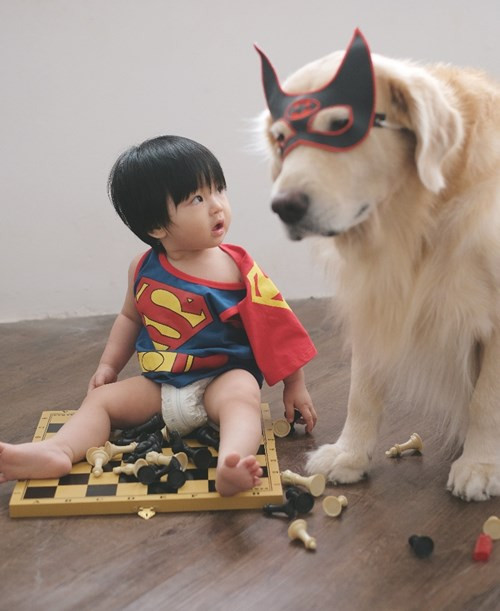 Superman và Batman phiên bản không thể nào đáng yêu hơn.