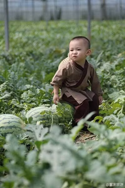 Cư dân mạng tỏ ra "phát cuồng" trước chàng nông dân "nhí". 