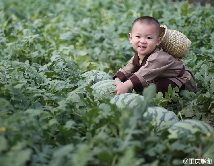 Loạt ảnh bé trai hái dưa hấu nhanh chóng "đốn tim" những người thích trồng cây và cả những người yêu trẻ con.
