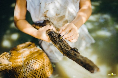 Bộ ảnh thực hiện tại một vùng quê sông nước tại An Giang