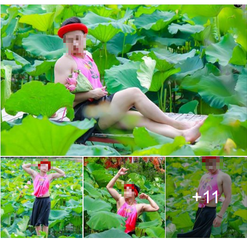 Những hình ảnh nam thanh niên chụp ảnh với sen trước đó.