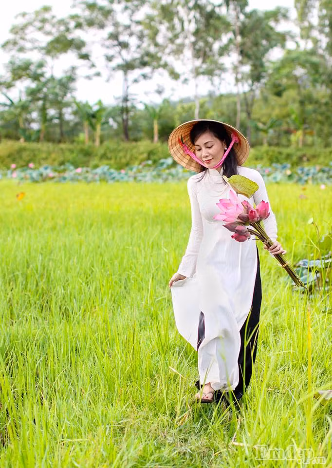 Thời điểm đẹp nhất ngắm hoa sen là 5 - 6h sáng. Lúc này hương sen tỏa ra ngan ngát, hòa mình cùng thiên nhiên trong lành, bạn cứ ngỡ mình đang lạc trong chốn thần tiên.