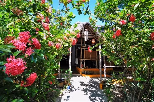 …hẳn nhiều người đều cảm nhận được hạnh phúc giản dị của cặp đôi trong ca khúc với ước mơ được tới một miền biển vắng trong những ngày hè vàng ươm nắng, một căn nhà dưới bóng dừa “lả lơi”…