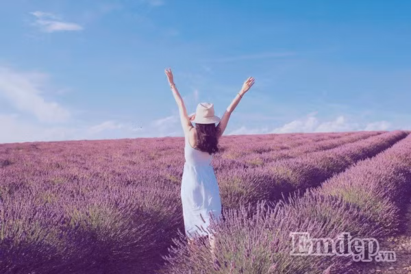 Cô nàng du học sinh hào hứng kể: “Mình may mắn đến đồng hoa vào cuối giờ chiều, khi mà khách du lịch cũng bắt đầu ra về. Bởi vậy đồng hoa lúc này gần như chỉ còn nhóm mình ở lại, không gian bao la kèm những cơn gió mát lành cuốn theo hương thơm rất nhẹ của lavender khiến ai nấy đều cảm thấy thư giãn, quên hết những mỏi mệt sau một ngày dài di chuyển liên tục”.