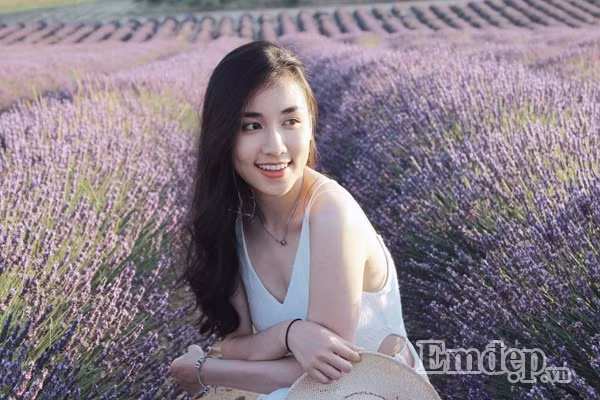 Chủ nhân của những bức ảnh giữa cánh đồng oải hương (lavender) khiến ai cũng phải ghen tỵ này là cô nàng Lê Phương Thảo (sinh năm 1993), hiện đang theo học ngành quản trị thương hiệu thời trang tại Học viện Istituto Marangoni tại Paris.
