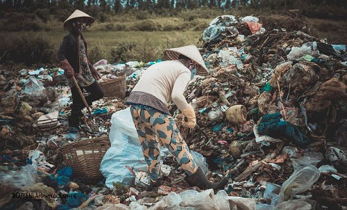 Dáng người lom khom không ngừng tìm kiếm.