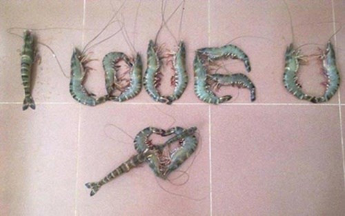 Lời yêu thương từ các chàng trai thủy sản.