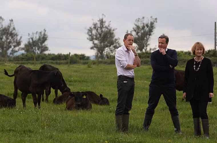 Ông Cameron cùng cựu thủ lĩnh Công đảng Harriet Harman tới trang trại của nông dân David Christensen ở Abingdon, Oxfordshire vào buổi trưa. Đây là một phần trong chuỗi hoạt động vận động các cử tri Anh ở lại EU của ông Cameron.