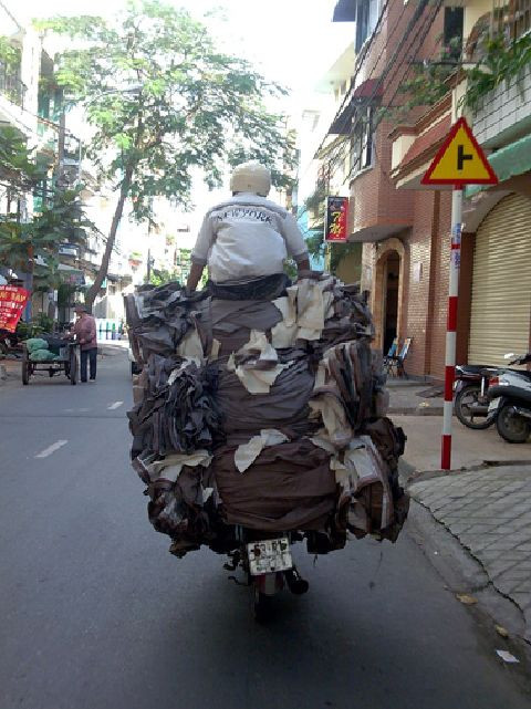 Trèo cao, cao mãi.