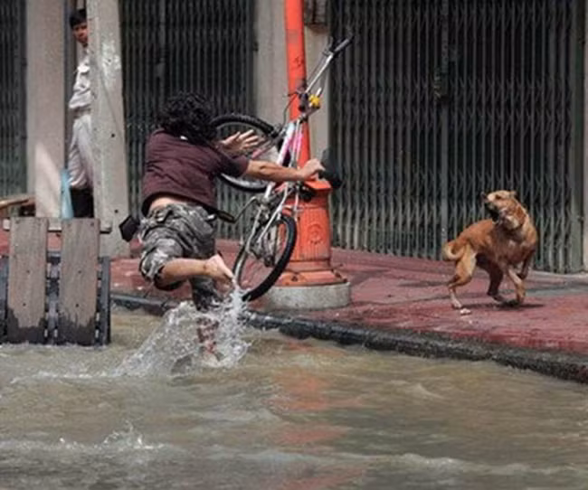 Không hiểu anh chàng đang đi xe đạp hay nhảy múa nữa...