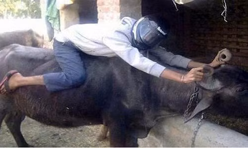 Vui het nac voi loat anh giao thong doc dao o Viet Nam