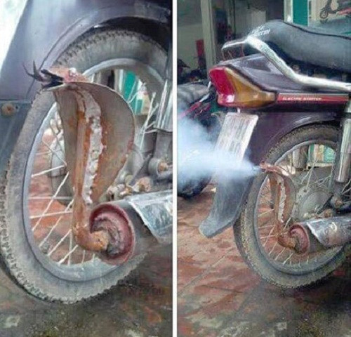 Khí thải cơ bản là rất độc.