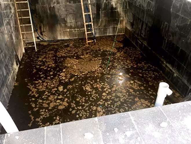 Sau khi khám nghiệm hiện trường, tử thi nạn nhân, thu thập lời khai nhân chứng, bước đầu cơ quan chức năng nhận định 5 người chết ở Phú Yên có thể do ngạt khí độc. Ảnh: Zing.