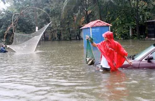 Hình ảnh hài hước về giao thông Việt Nam. Sau cơn mưa, ra đường cũng bắt được cá.