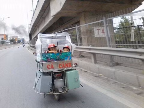 Hai chú cá cảnh dễ thương.