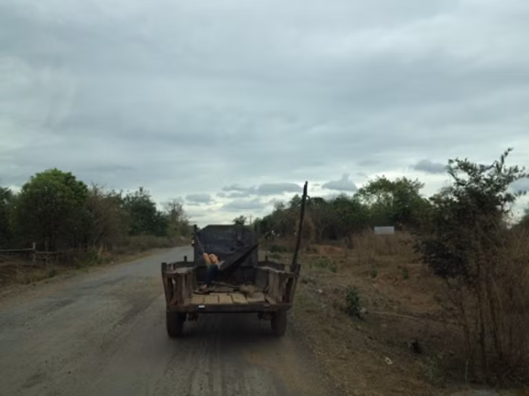 Giấc ngủ giữa đường.