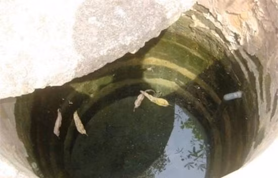 Lâu nay, người dân xã Vô Tranh (huyện Lục Nam, Bắc Giang) vẫn đồn đại với nhau về một kho báu bí mật được chôn gần cái giếng Chợ ở thôn Tranh. Theo các bậc lão làng kể lại, trước đây người Tàu đã chôn rất nhiều vàng bạc của cải kèm theo một trinh nữ để yểm không cho người ngoài xâm nhập. Xung quanh kho báu này đã xuất hiện nhiều câu chuyện nhuốm màu sắc hoang đường như những đàn lợn vàng, chó vàng chạy ra từ hướng cái giếng rồi mất tích một cách bí ẩn…