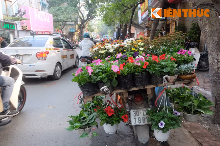 Những chiếc xe chở hoa rong trên phố đi chầm chậm giữa dòng xe hối hả luôn ẩn chứa một vẻ bình dị riêng.