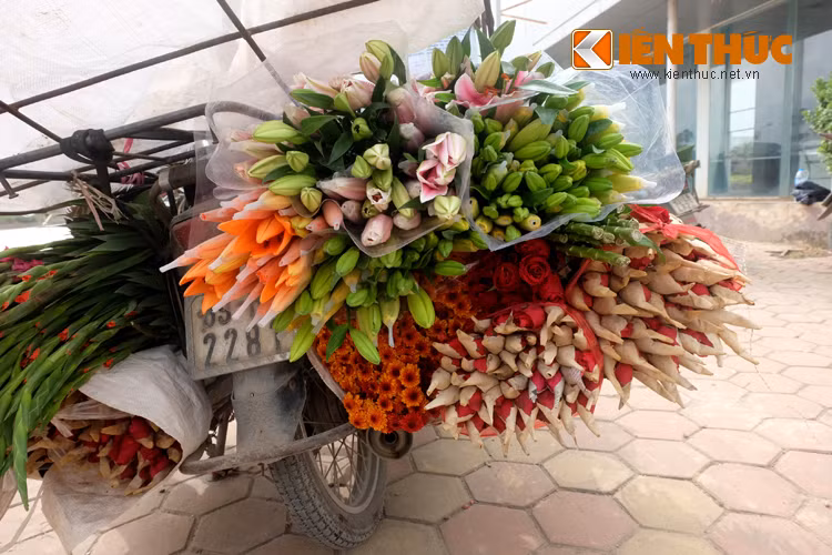 Hồng, ly, cúc, lay dơn... đủ sắc màu trên chiếc xe chở hoa.