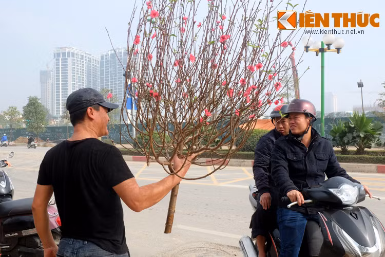 Ai cũng muốn chọn cho mình một cành đào ưng ý.