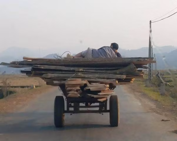 Thả dáng trên xe trâu.