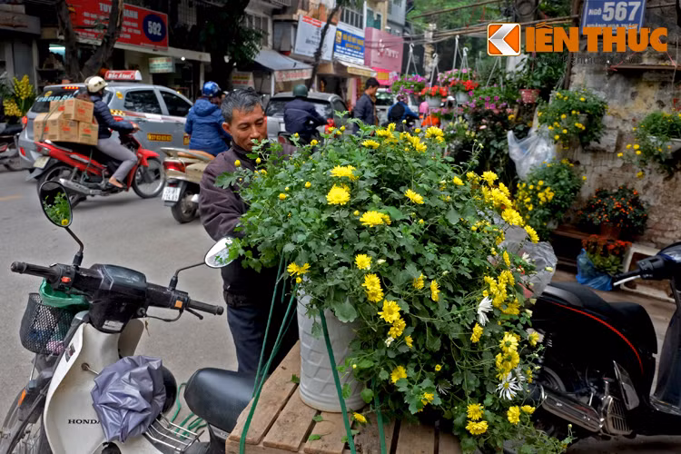 Ai cũng hối hả hơn vào những ngày cuối năm, nhưng cũng vui hơn khi nhìn thấy những sắc hoa xuân trên phố.