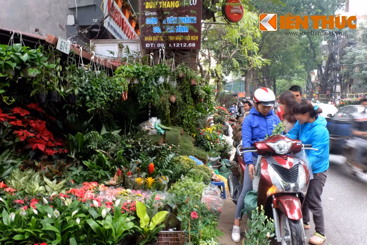 Nhiều hàng hoa tràn cả xuống lòng đường.