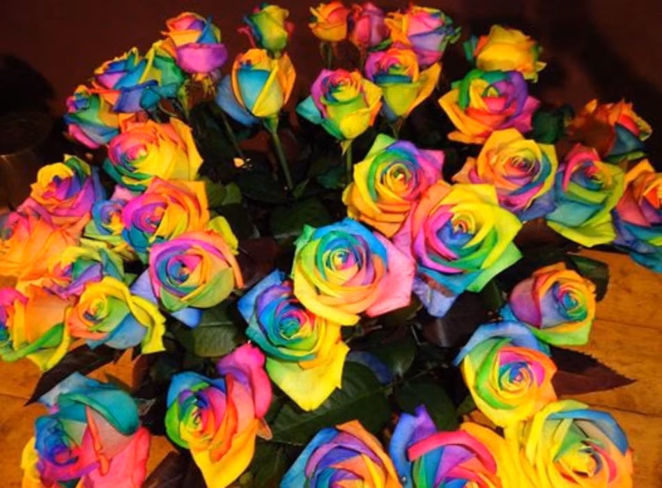 Tuy nhiên, các bước chi tiết của quá trình này và làm thế nào mà một bông hoa lại mang nhiều màu sắc như vậy vẫn là một bí mật thương mại của người sáng tạo ra nó. Ảnh: Internet.