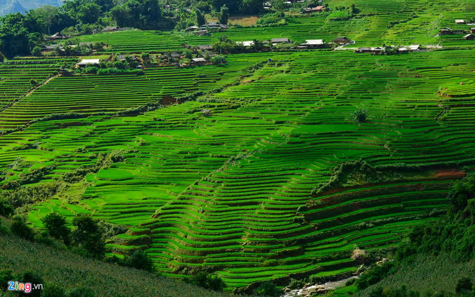 Trên đường đến hang Háng La, bạn sẽ đi qua những thửa ruộng bậc thang trùng điệp của người Mông ở bản Làng Sang, xã Nậm Khắt.