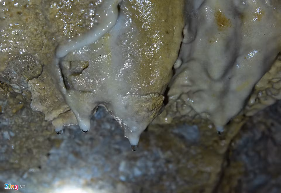 Đó là kết quả của quá trình nhỏ giọt của nước mang theo cặn đá vôi. Mỗi năm, trụ đá chỉ có thể dài thêm 1 mm. Bởi vậy, để có những cột đá cao hàng mét thế này, thiên nhiên đã phải tốn đến hàng nghìn năm.