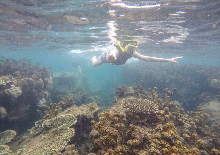 Tôi không nghĩ san hô ở đây đẹp đến thế, hơn cả Cù Lao Chàm, Koh Rong, Koh Samui...