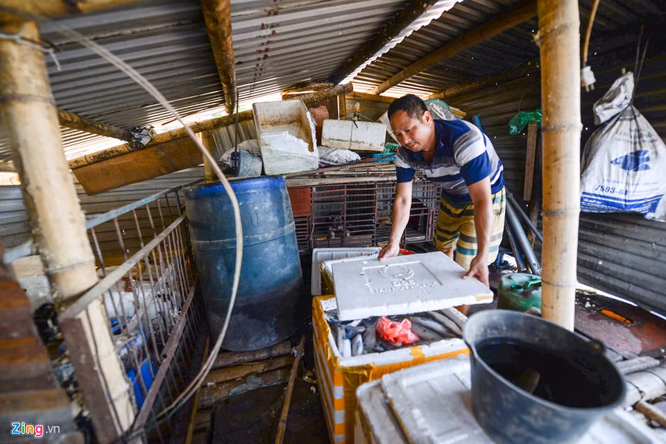 Anh Lương Văn Hưng (TP Hòa Bình) nuôi 10 lồng cá. Đến ngày 22/7, cả khu nuôi 1,5 tấn cá bị gió bão “càn quét”: “Đếm trên đầu ngón tay được vài con nữa thôi, không bán nhanh thì cũng chết hết”.
