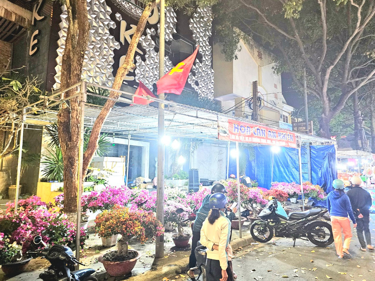 Đắk Lắk: Tiểu thương đồng loạt giảm giá hoa xuân... người mua lác đác - Hình 2 Dak Lak: Tieu thuong dong loat giam gia hoa xuan... nguoi mua lac dac-Hinh-2