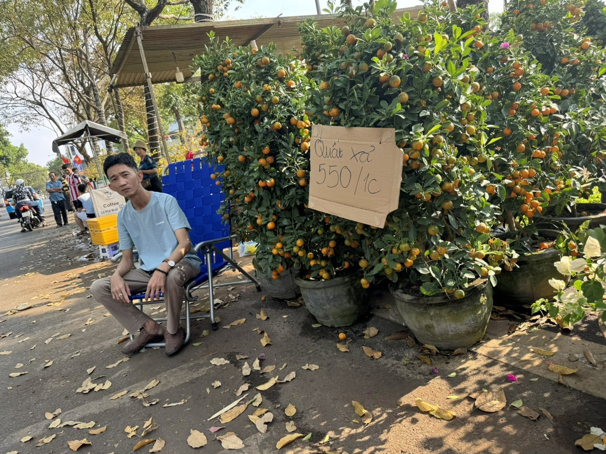 Đắk Lắk: Tiểu thương đồng loạt giảm giá hoa xuân... người mua lác đác Dak Lak: Tieu thuong dong loat giam gia hoa xuan... nguoi mua lac dac