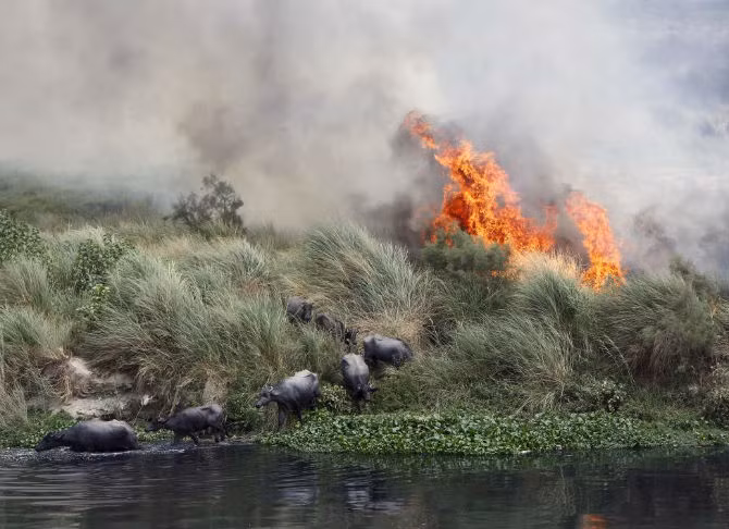 Hinh anh kinh hoang ve tham hoa thien nhien nam 2015 (1)-Hinh-10