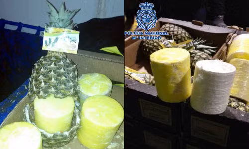 Cảnh sát Tây Ban Nha đã thu giữ 200 kg cocaine được cất giấu tinh vi trong những quả dứa rỗng ruột.