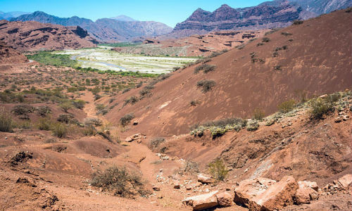 Argentina: Tai nan xe buyt kinh hoang, 41 canh sat thiet mang