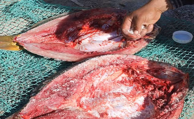 Chien binh IS bat ca, dong thuyen gio giai lao-Hinh-4